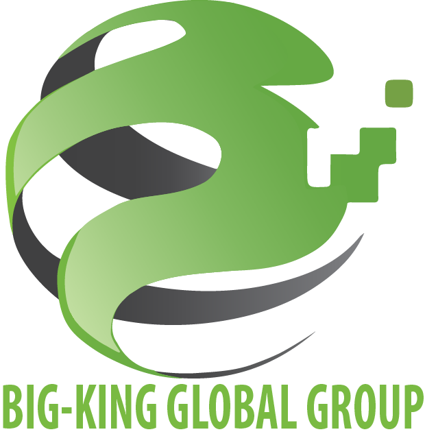 Big-King Logo